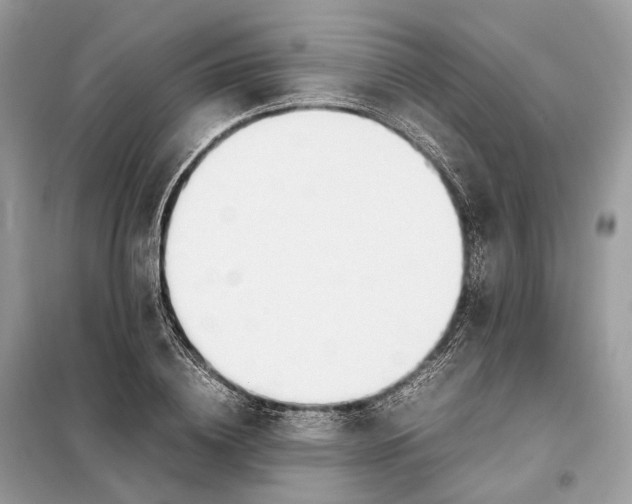 X0000099230836200805081555