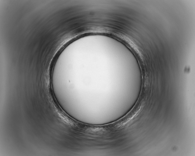 X0000099230837200805081555