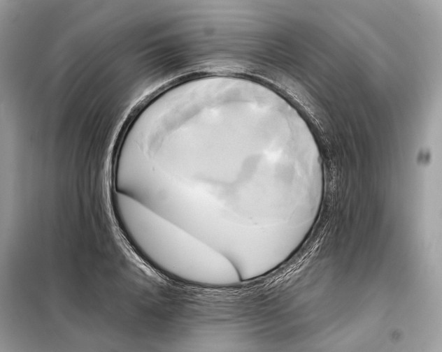 X0000099230840200805081555