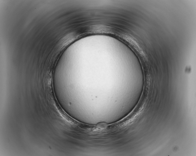 X0000099230841200805081555