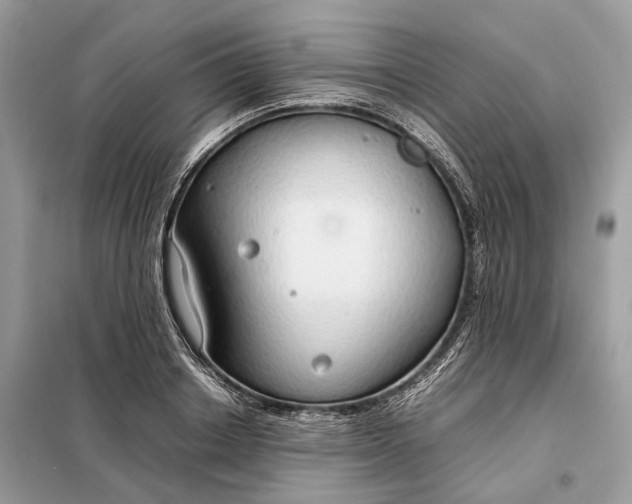 X0000099230842200805081555