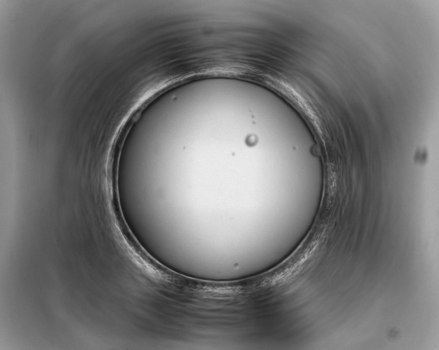 X0000099230843200805081555