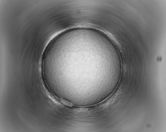 X0000099230846200805081555