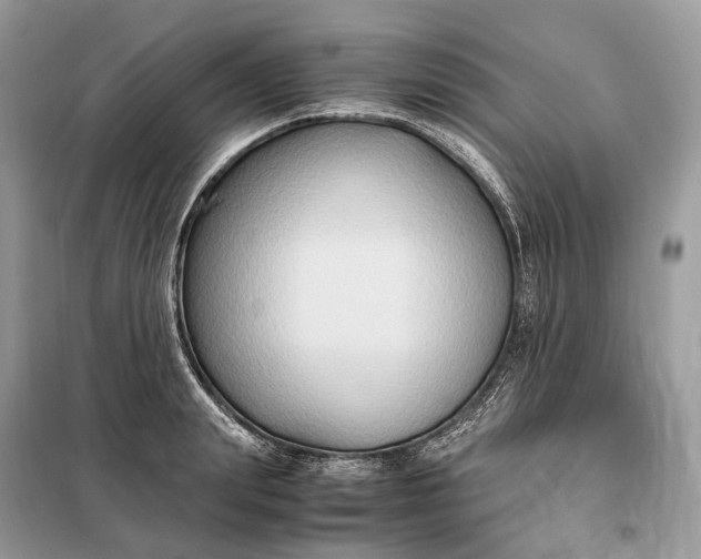 X0000099230847200805081555