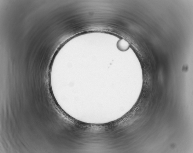 X0000099230848200805081555