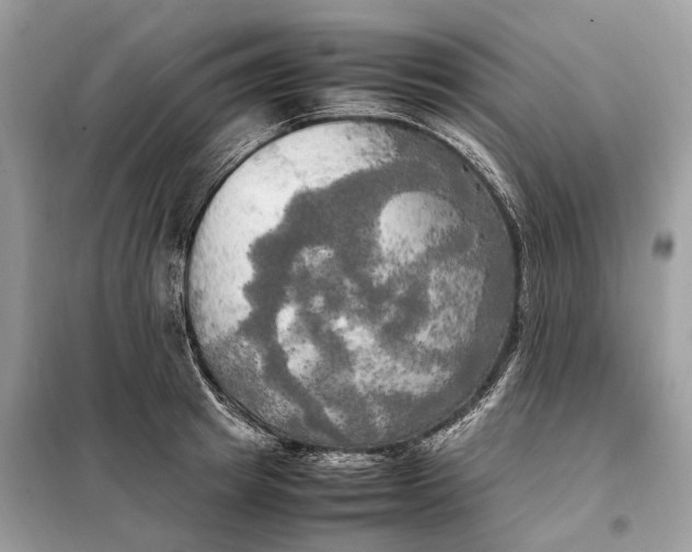 X0000099230849200805081555