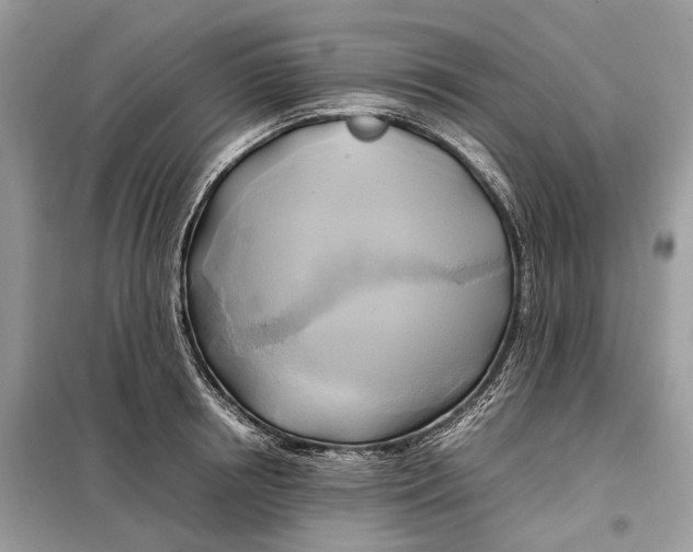 X0000099230850200805081555