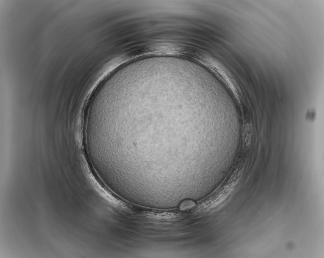 X0000099230851200805081555