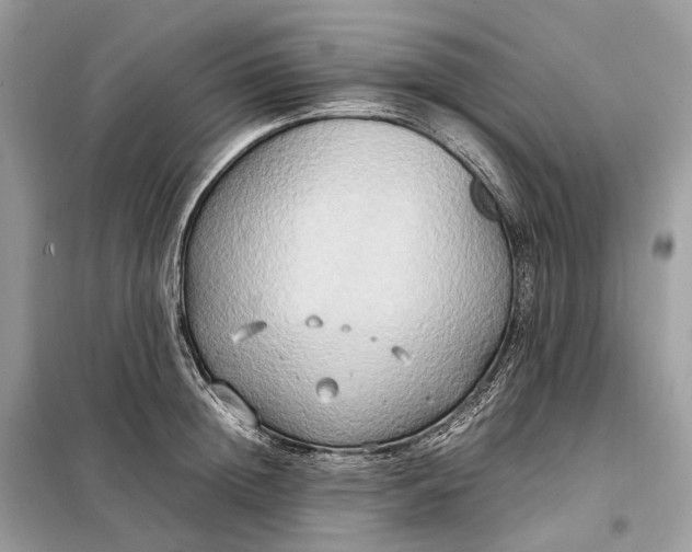 X0000099230852200805081555