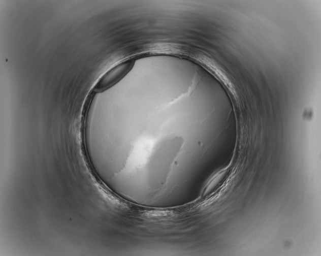 X0000099230853200805081555