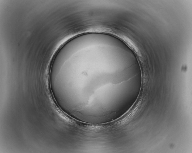 X0000099230854200805081555