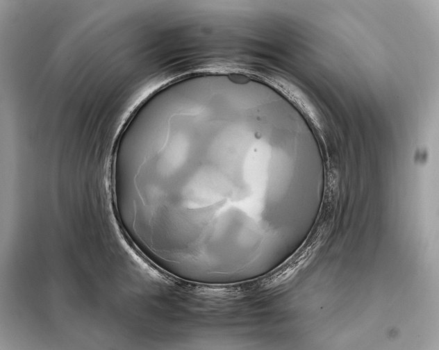 X0000099230855200805081555