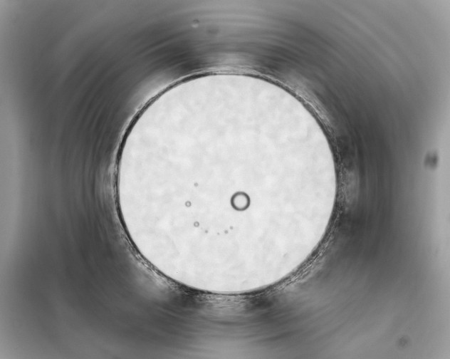 X0000099230856200805081555