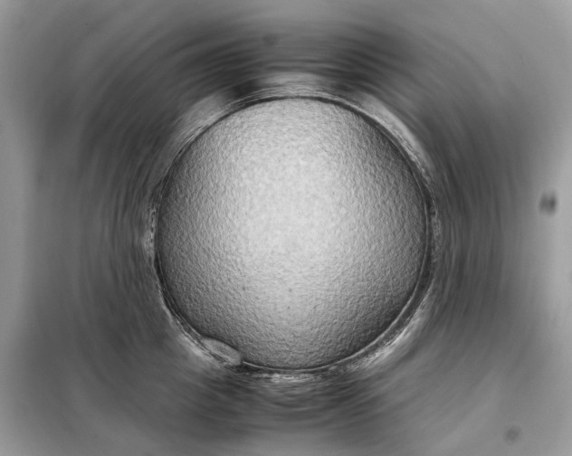 X0000099230857200805081555