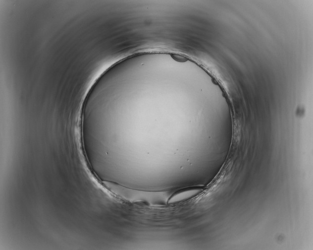 X0000099230863200805081556