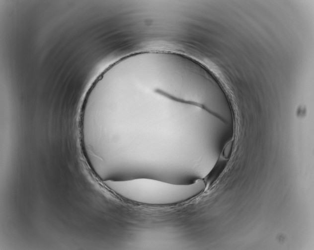 X0000099230864200805081556