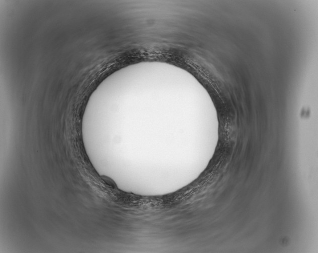 X0000099230865200805081555