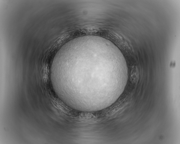 X0000099230866200805081555