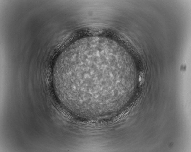 X0000099230867200805081555