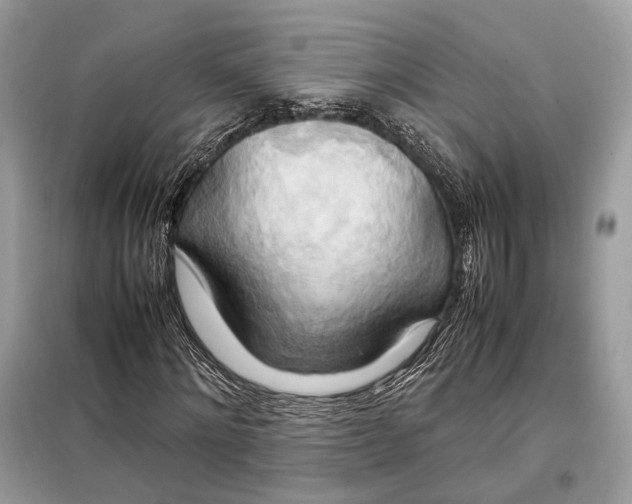 X0000099230868200805081555