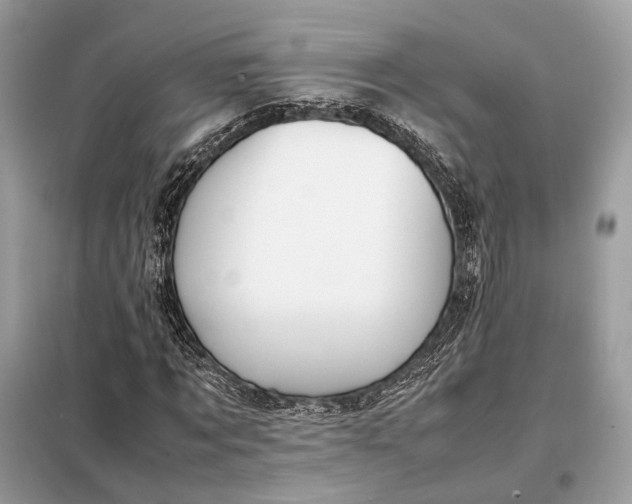 X0000099230869200805081555