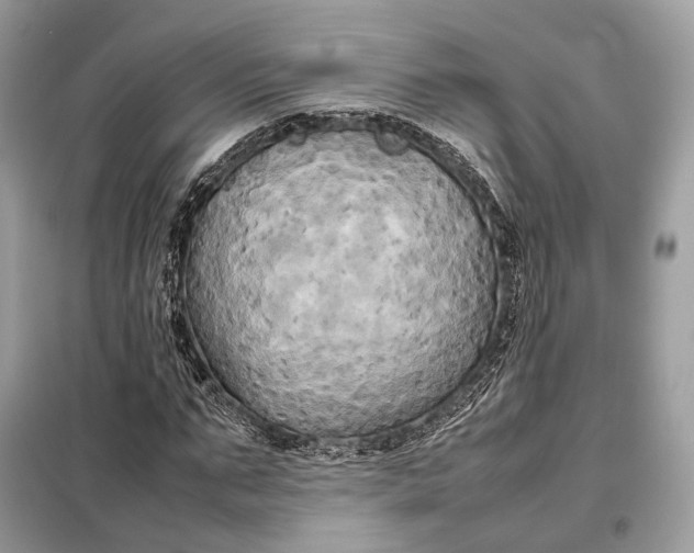 X0000099230871200805081555