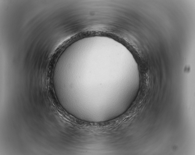 X0000099230872200805081555