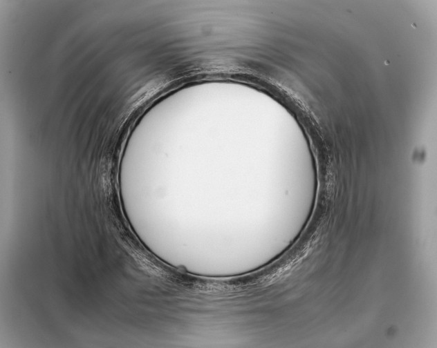 X0000099230873200805081555