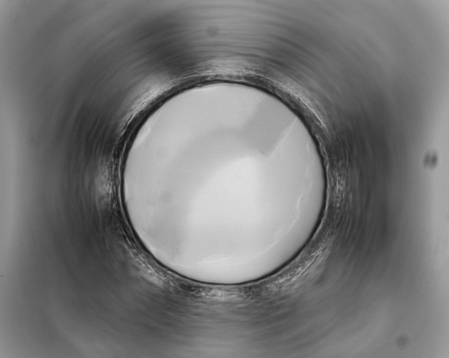 X0000099230874200805081555