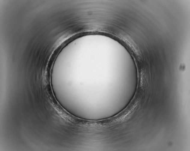 X0000099230876200805081555