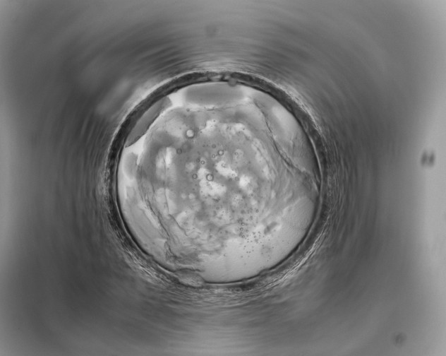 X0000099230879200805081555