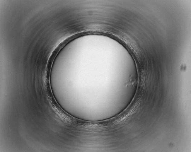 X0000099230880200805081555