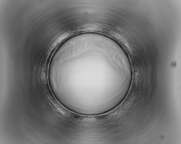 X0000099230882200805081555