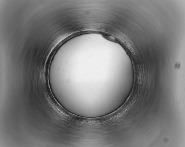 X0000099230884200805081555