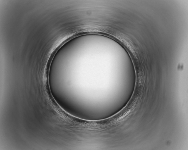 X0000099230885200805081555