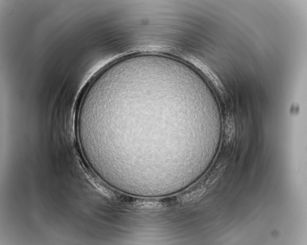 X0000099230886200805081555