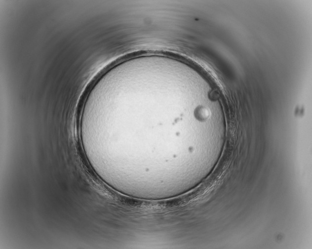 X0000099230887200805081555