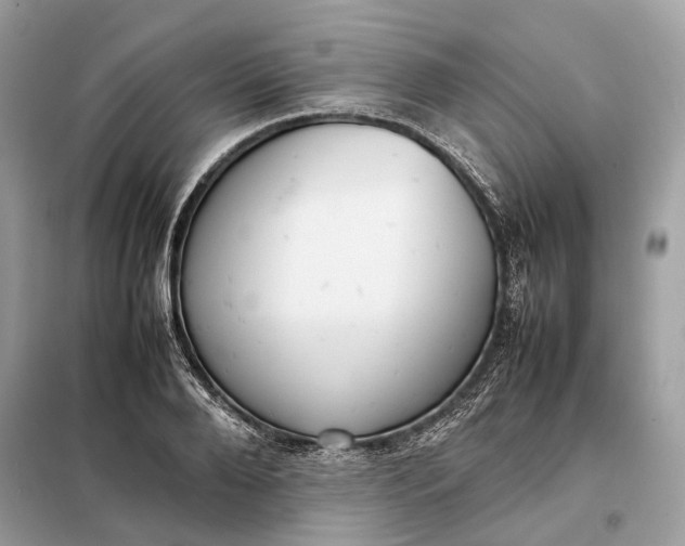 X0000099230888200805081555