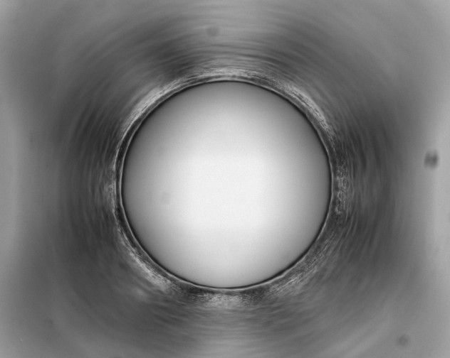 X0000099230890200805081555