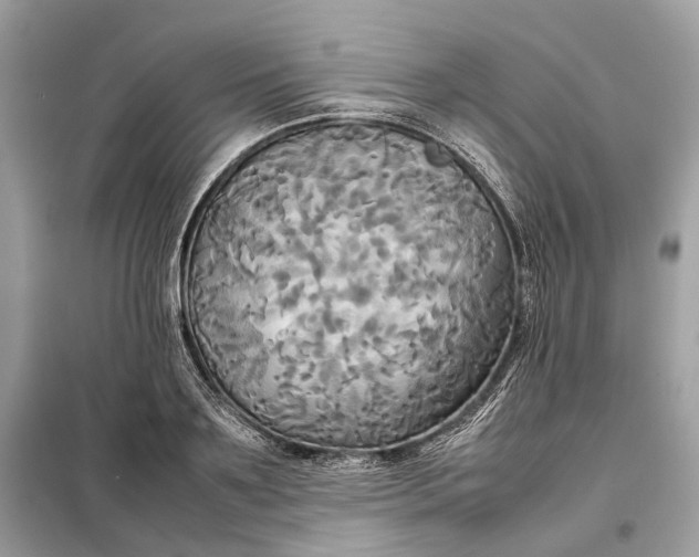 X0000099230891200805081555