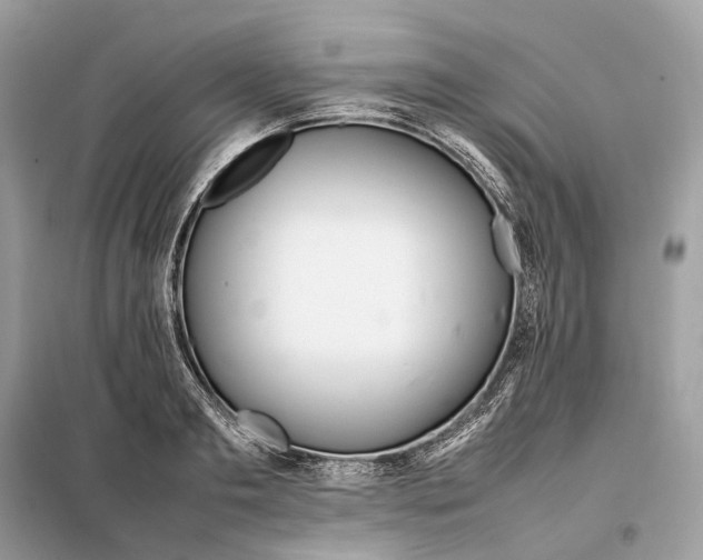 X0000099230893200805081555