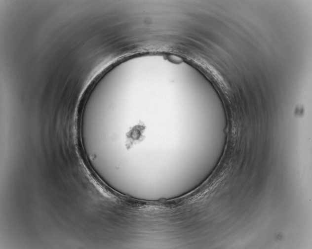 X0000099230894200805081555