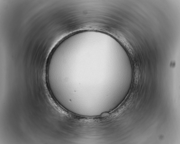 X0000099230896200805081554