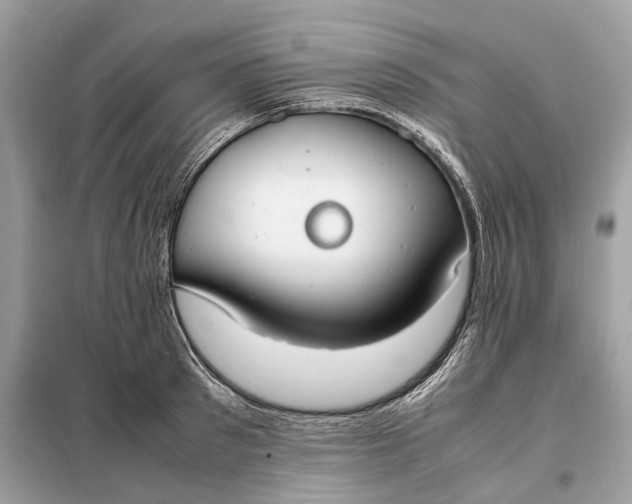 X0000099230897200805081554