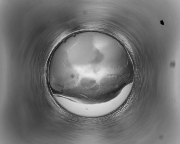 X0000099230899200805081554