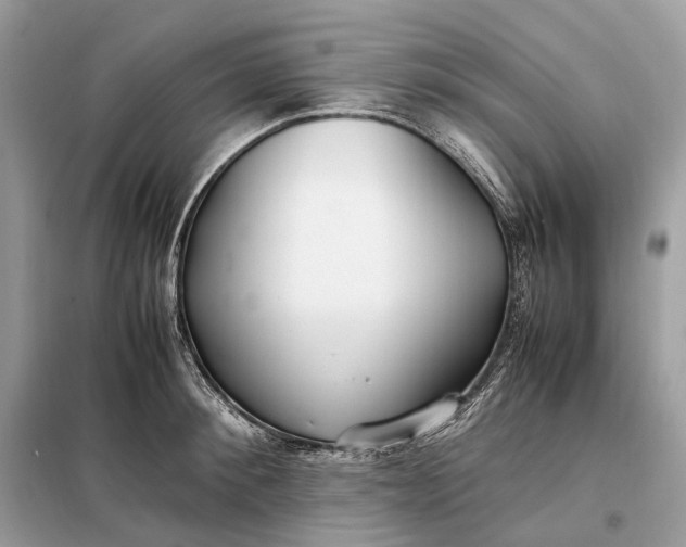 X0000099230900200805081554