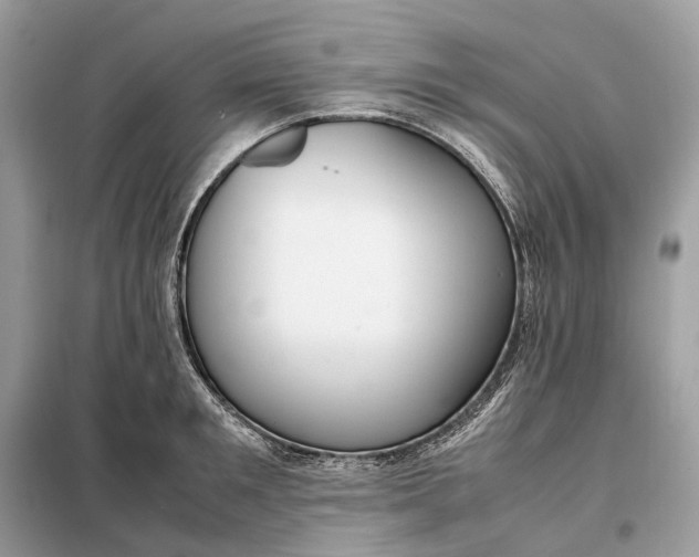 X0000099230901200805081554