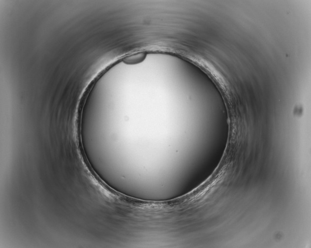 X0000099230902200805081554