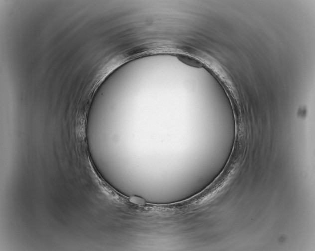 X0000099230905200805081554