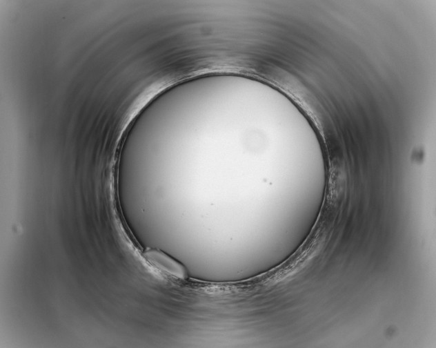 X0000099230906200805081554